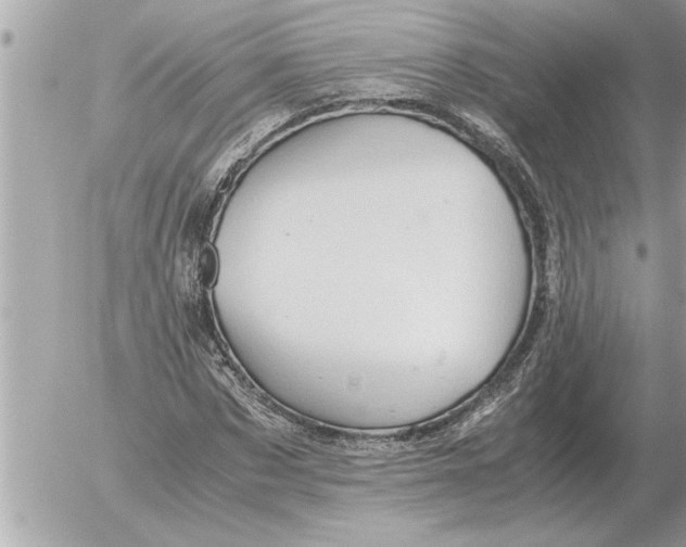 X0000052600873200507292120