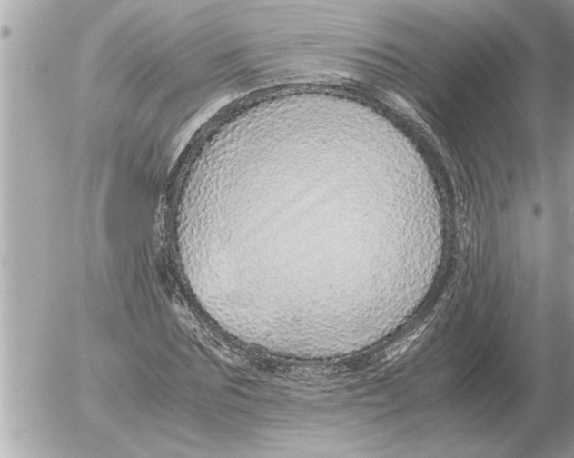 X0000052600875200507292120