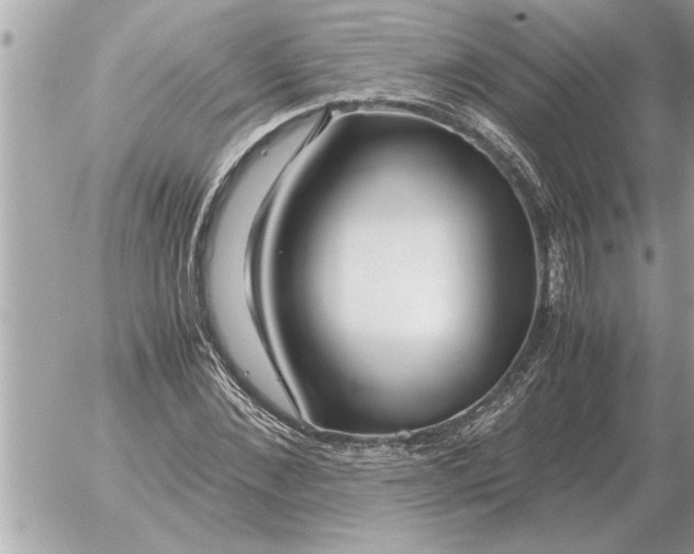 X0000052600876200507292120