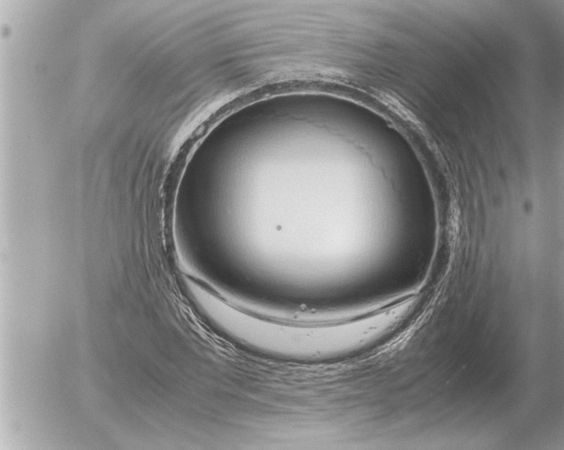 X0000052600877200507292120