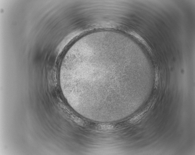 X0000052600878200507292120