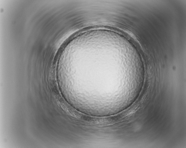 X0000052600879200507292120