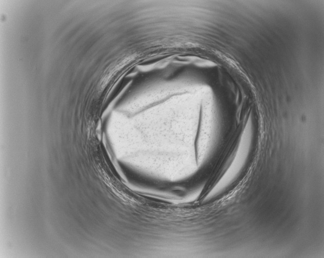 X0000052600881200507292120