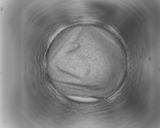 X0000052600883200507292120