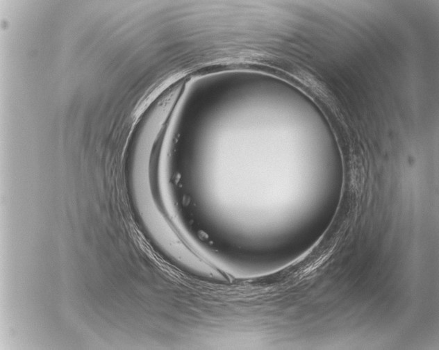 X0000052600885200507292120