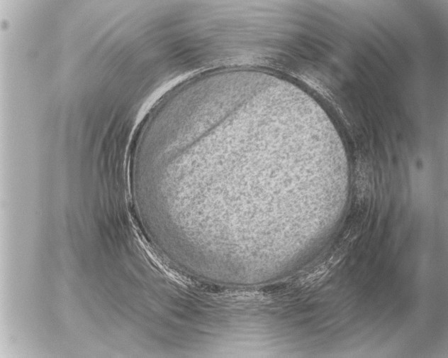 X0000052600886200507292120