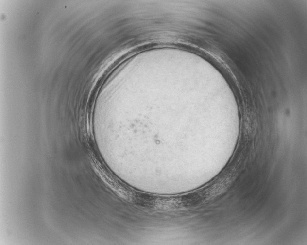 X0000052600887200507292120