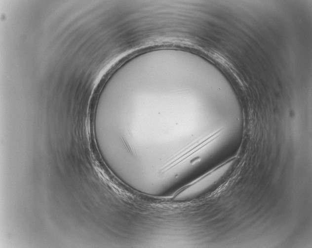 X0000052600888200507292120