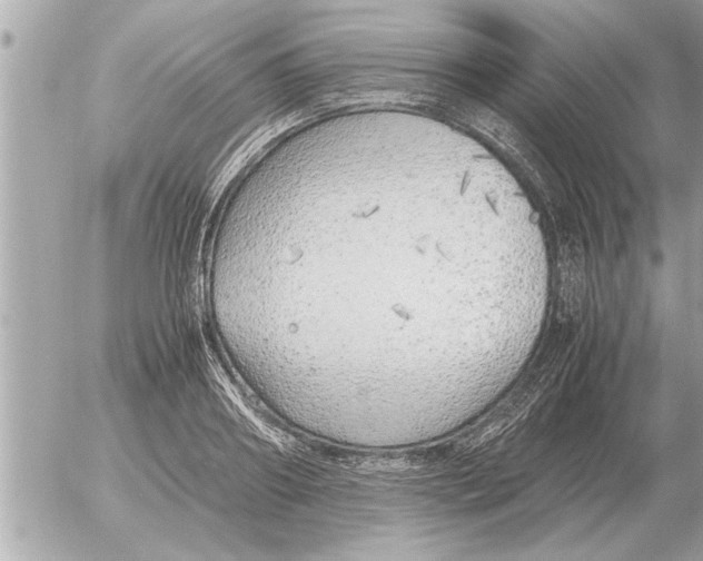 X0000052600890200507292120