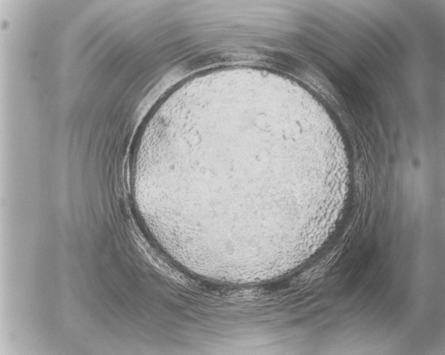 X0000052600891200507292120