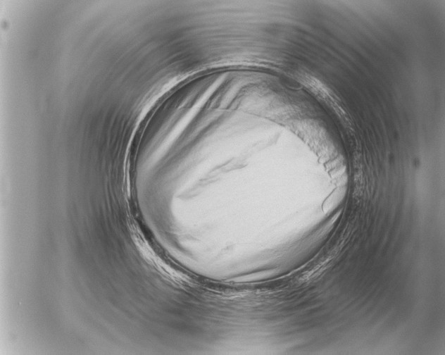 X0000052600892200507292120