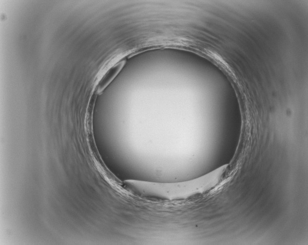 X0000052600893200507292120