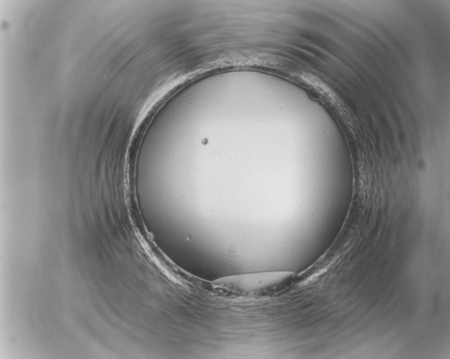 X0000052600894200507292120