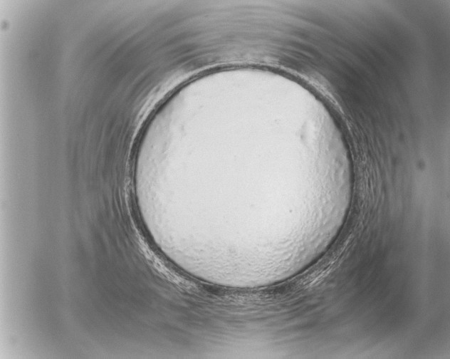 X0000052600895200507292120