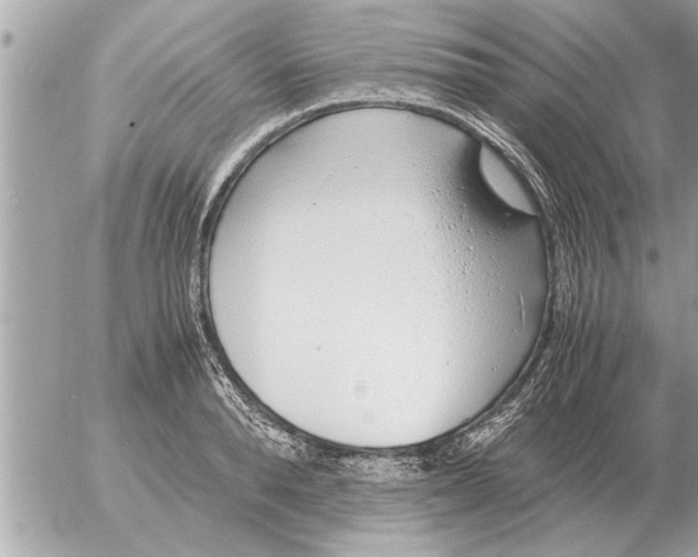 X0000052600896200507292120