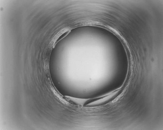 X0000052600897200507292120