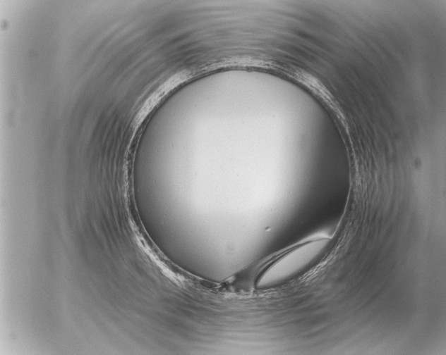 X0000052600898200507292120