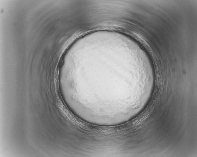 X0000052600899200507292120