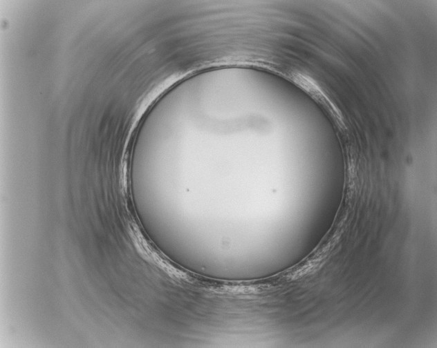 X0000052600900200507292120