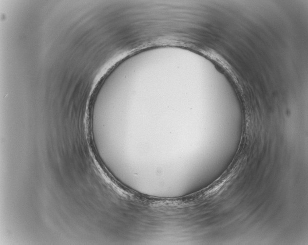 X0000052600902200507292120