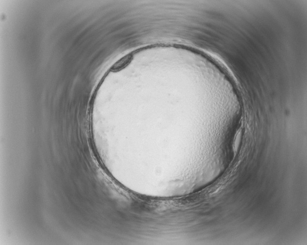 X0000052600903200507292120