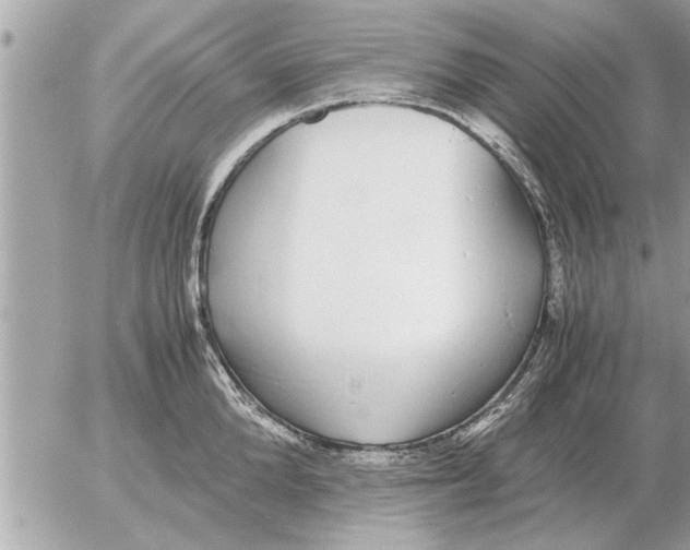 X0000052600904200507292120