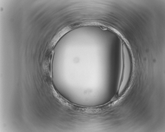 X0000052600905200507292120