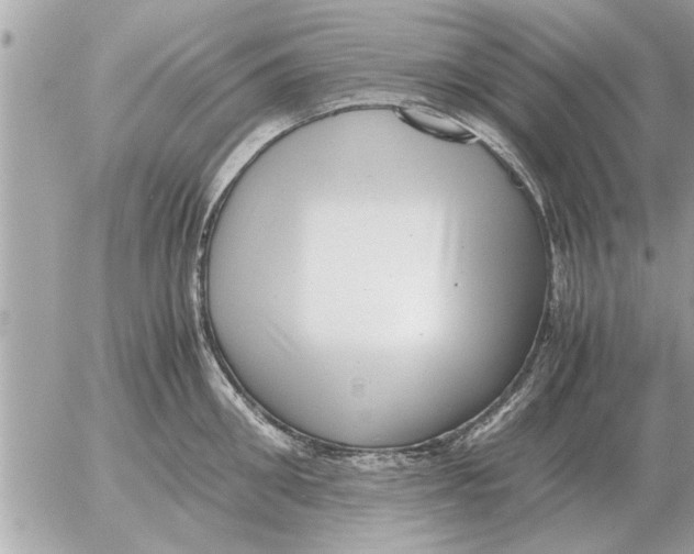 X0000052600906200507292120