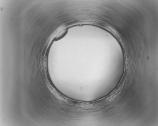 X0000052600907200507292120