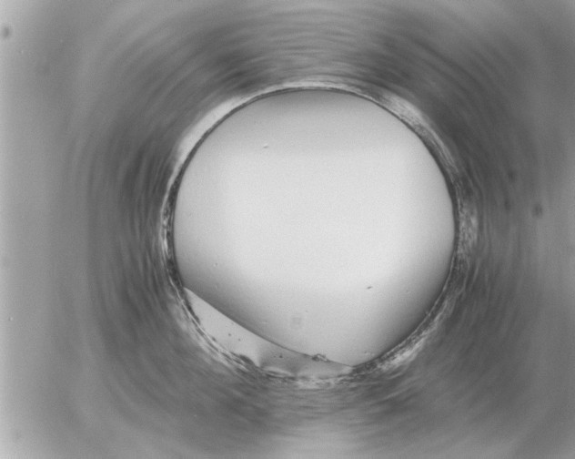 X0000052600908200507292120