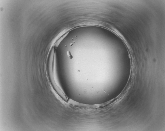 X0000052600909200507292120