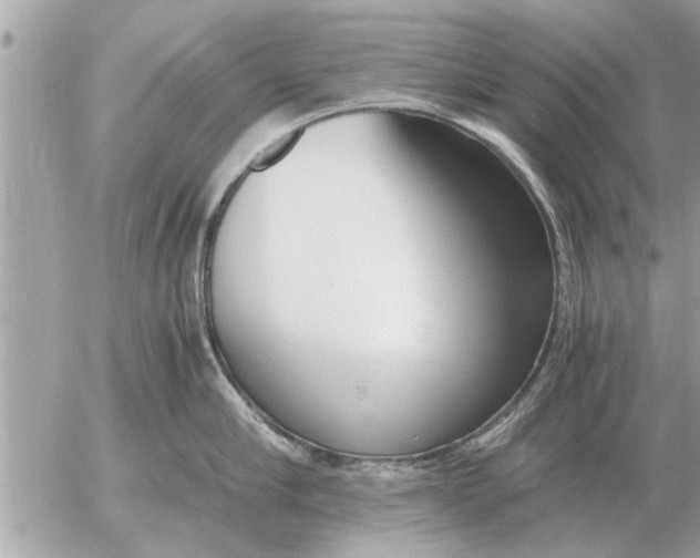 X0000052600910200507292120