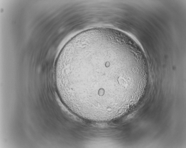 X0000052600911200507292120