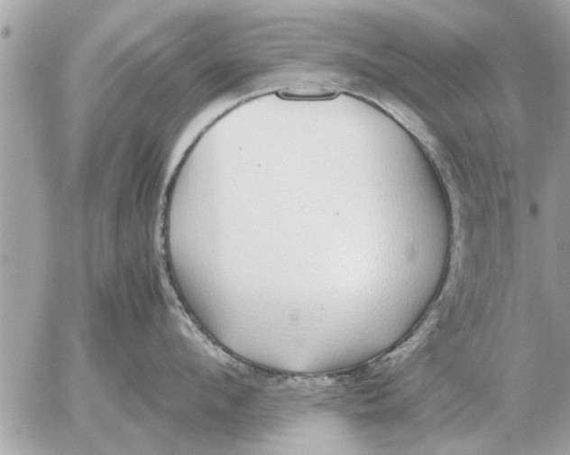 X0000052600912200507292120