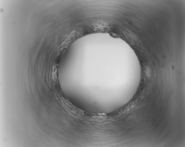 X0000052600914200507292119