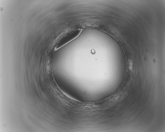 X0000052600915200507292119