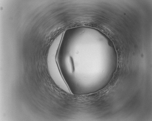 X0000052600917200507292119