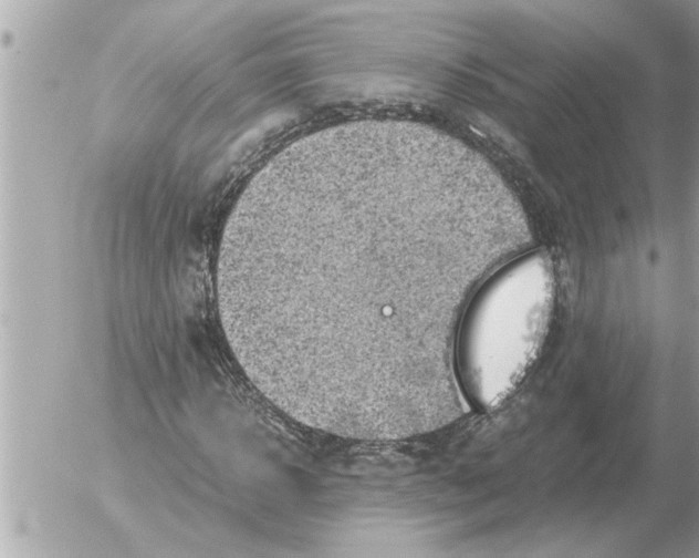 X0000052600918200507292119