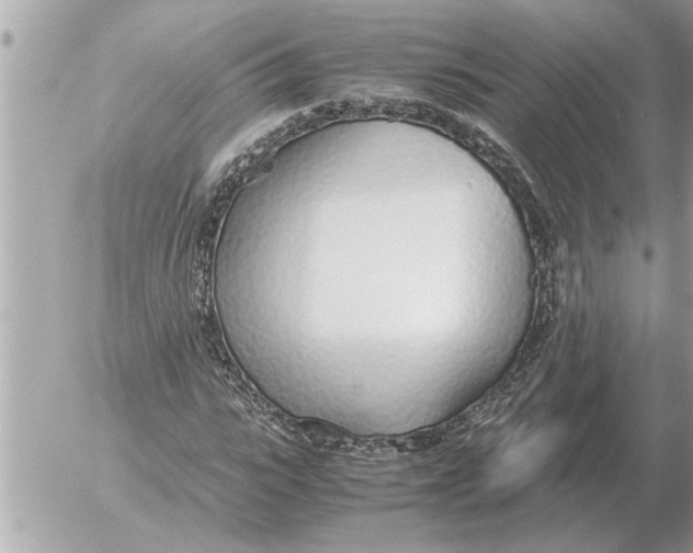 X0000052600919200507292119