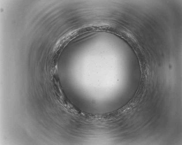 X0000052600920200507292119