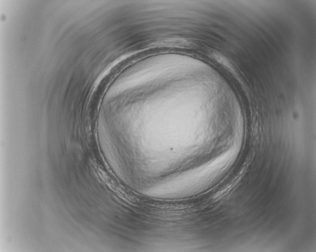 X0000052600923200507292119