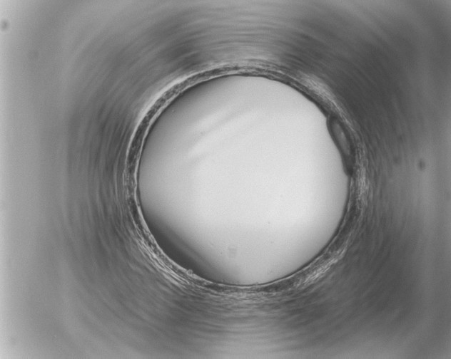 X0000052600924200507292119