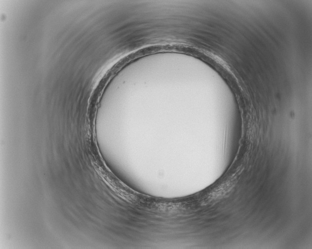 X0000052600927200507292119