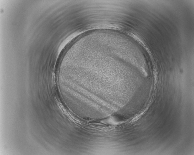 X0000052600928200507292119