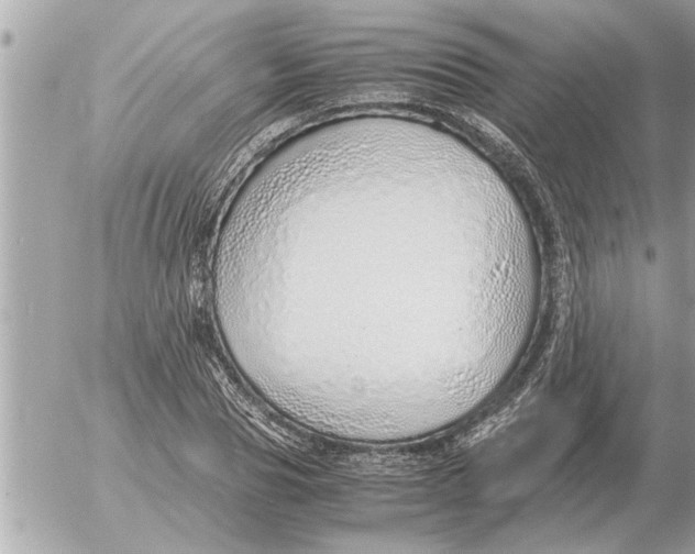 X0000052600929200507292119