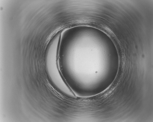 X0000052600930200507292119