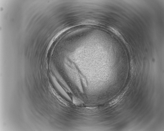 X0000052600931200507292119