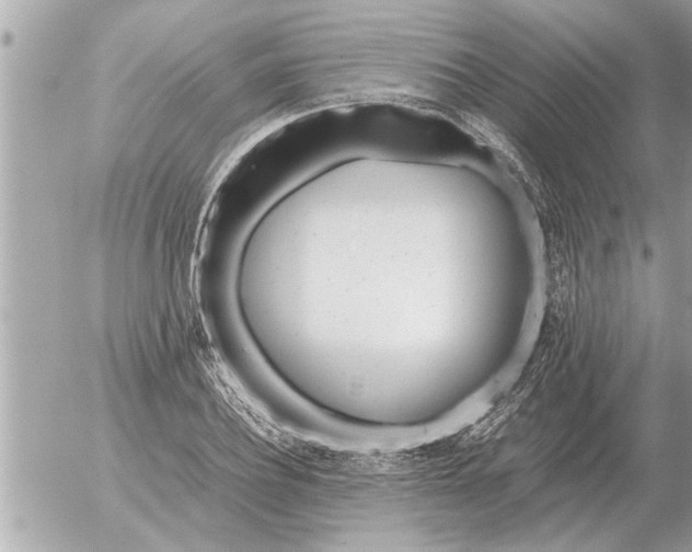 X0000052600932200507292119