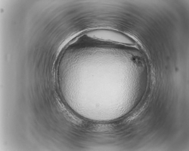 X0000052600933200507292119