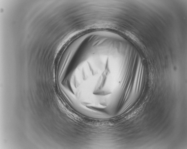 X0000052600934200507292119